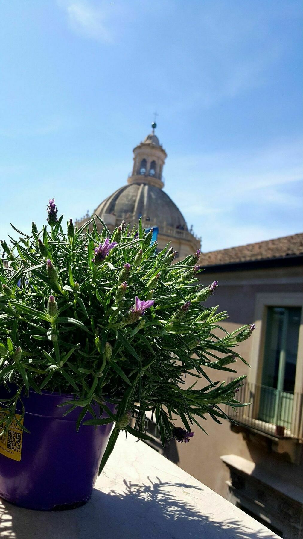 Hotel Casa Provenza Katania Zewnętrze zdjęcie