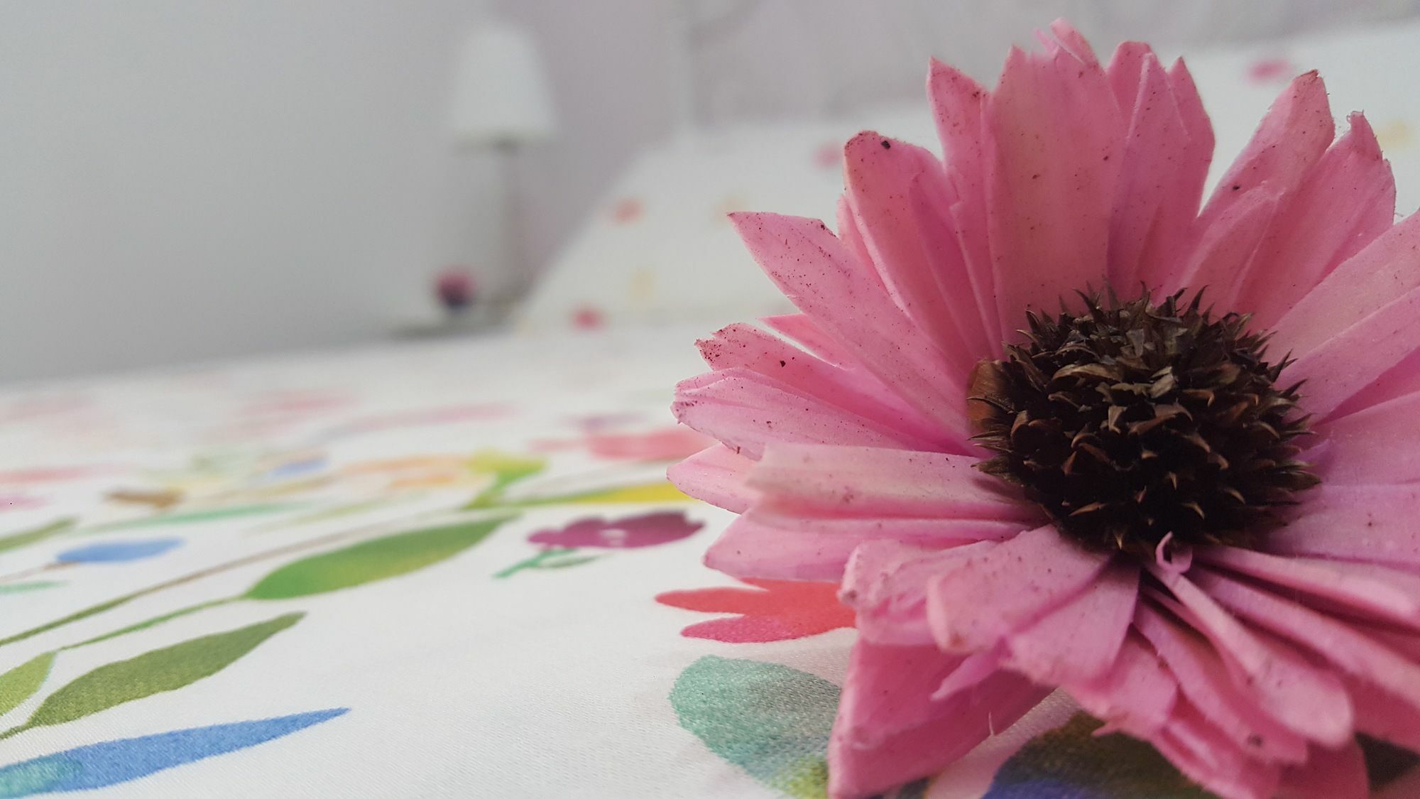 Hotel Casa Provenza Katania Zewnętrze zdjęcie